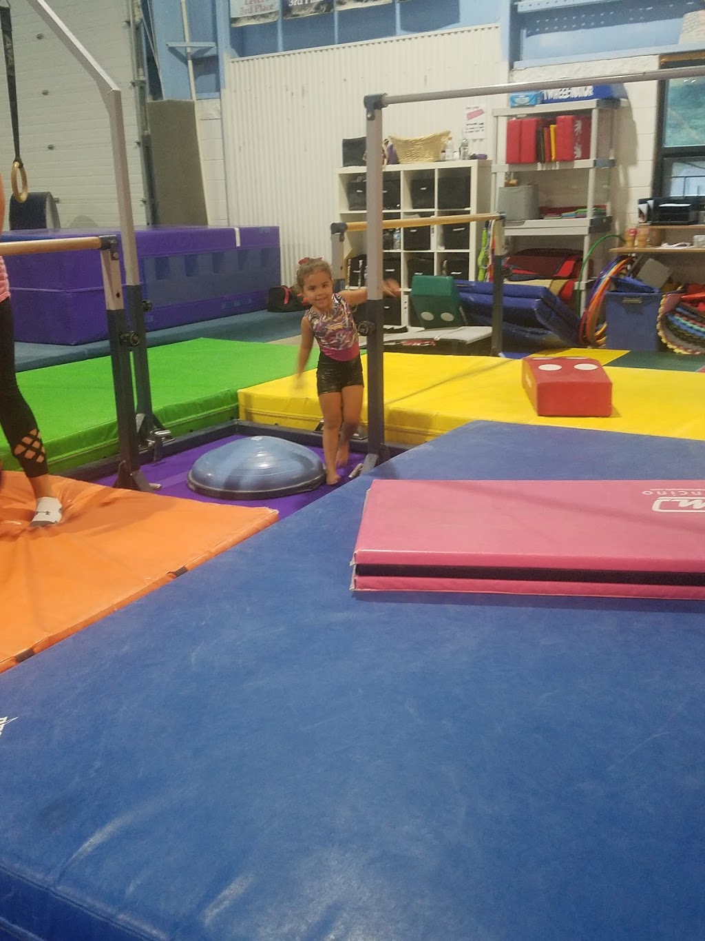 Action Gymnastics | 331 Fairfield Rd, Freehold, NJ 07728 | Phone: (732) 252-9202