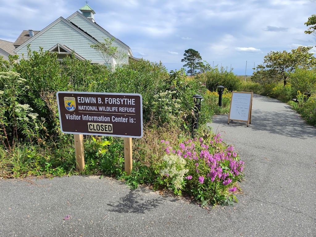 Forsythe Wildlife Refuge Brigantine | 800 Great Creek Rd, Galloway, NJ 08205 | Phone: (609) 652-1665