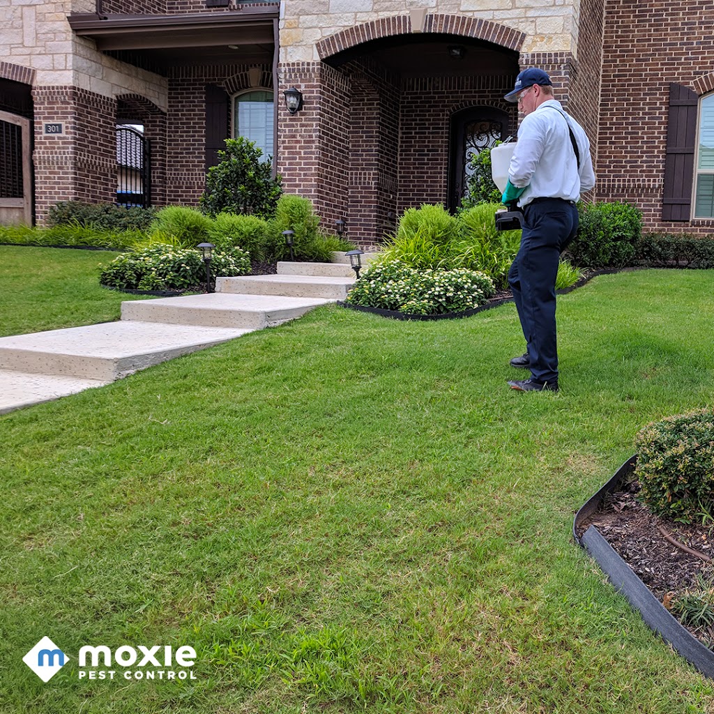 Moxie Pest Control | 353 S Gulph Rd, King of Prussia, PA 19406 | Phone: (484) 533-7271
