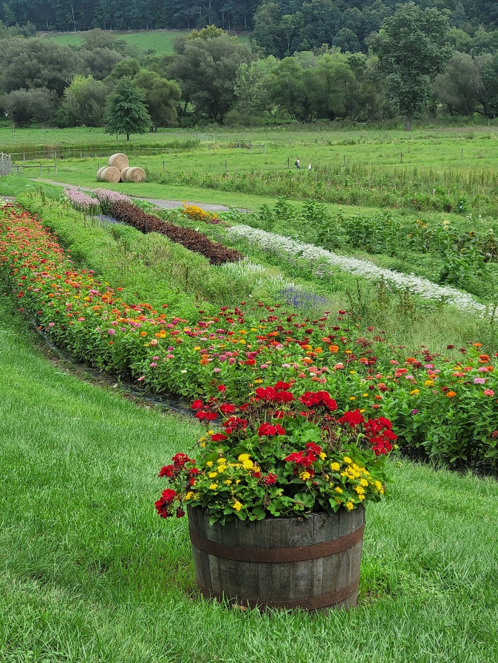 Green Valley Farms | 997 NJ-23, Sussex, NJ 07461 | Phone: (973) 875-5213