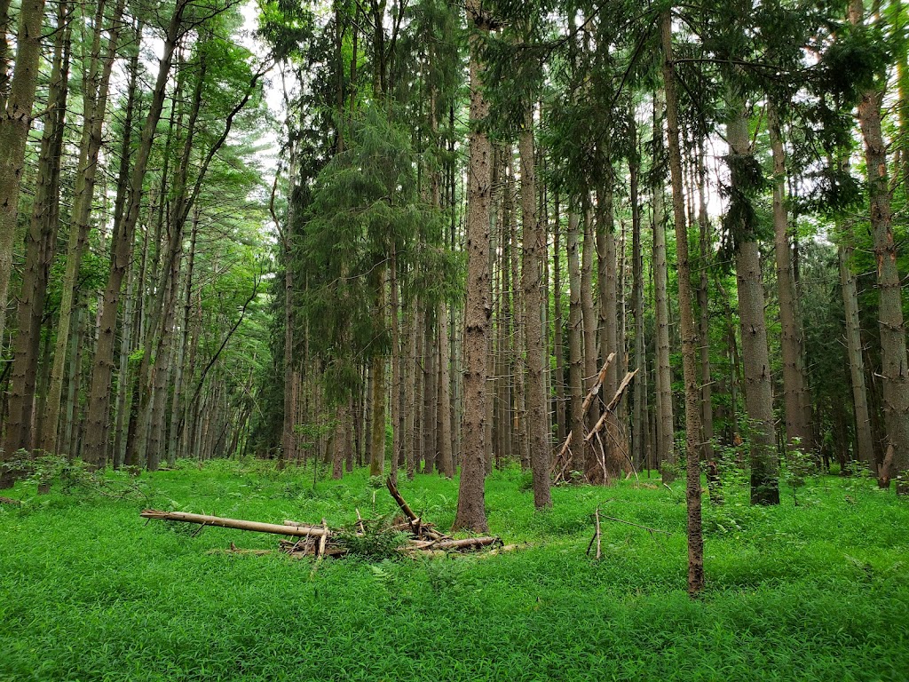 Rancocas Nature Center | 794 Rancocas Mt Holly Rd, Westampton, NJ 08060 | Phone: (609) 261-2495