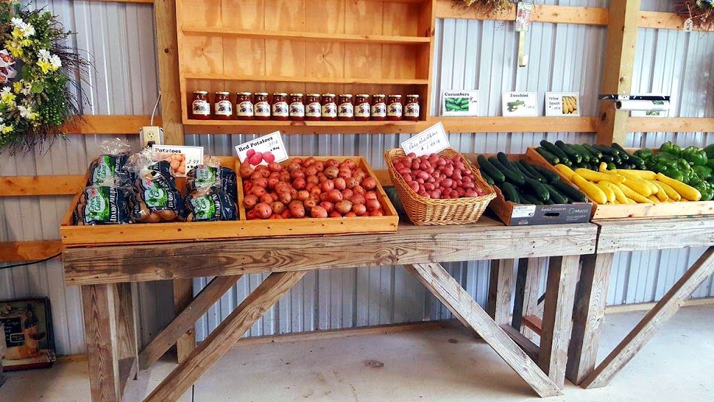 Halters Farm Market | 74 S Hook Rd, Pennsville Township, NJ 08070 | Phone: (856) 514-2989