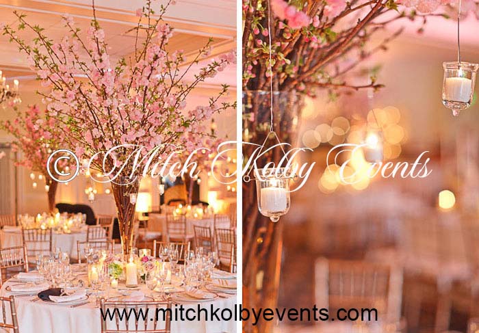 Mitch Kolby Events | 253 Thayer St, River Vale, NJ 07675 | Phone: (201) 281-0458