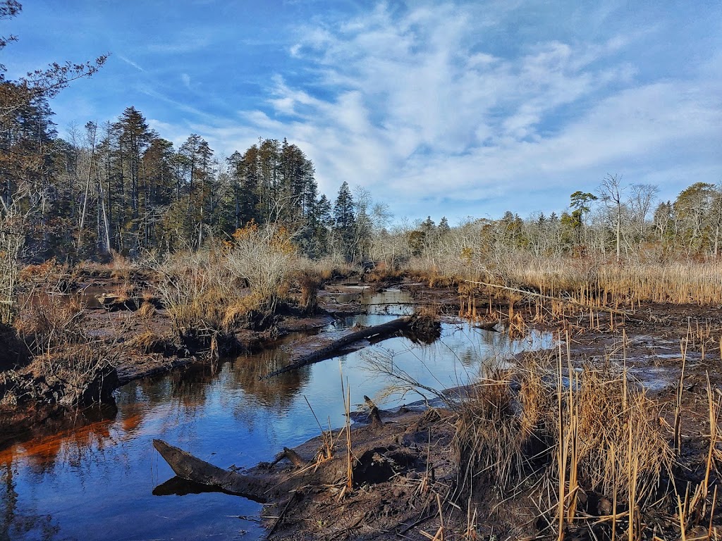 Warren E. Fox Nature Center | 109 NJ-50, Mays Landing, NJ 08330 | Phone: (609) 625-1897