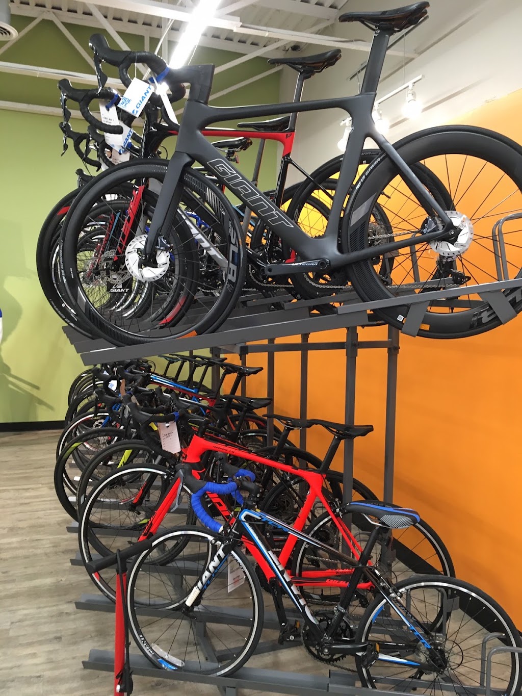 B3 Bicycles - Giant Howell | 6527 US-9, Howell Township, NJ 07731 | Phone: (732) 987-6267