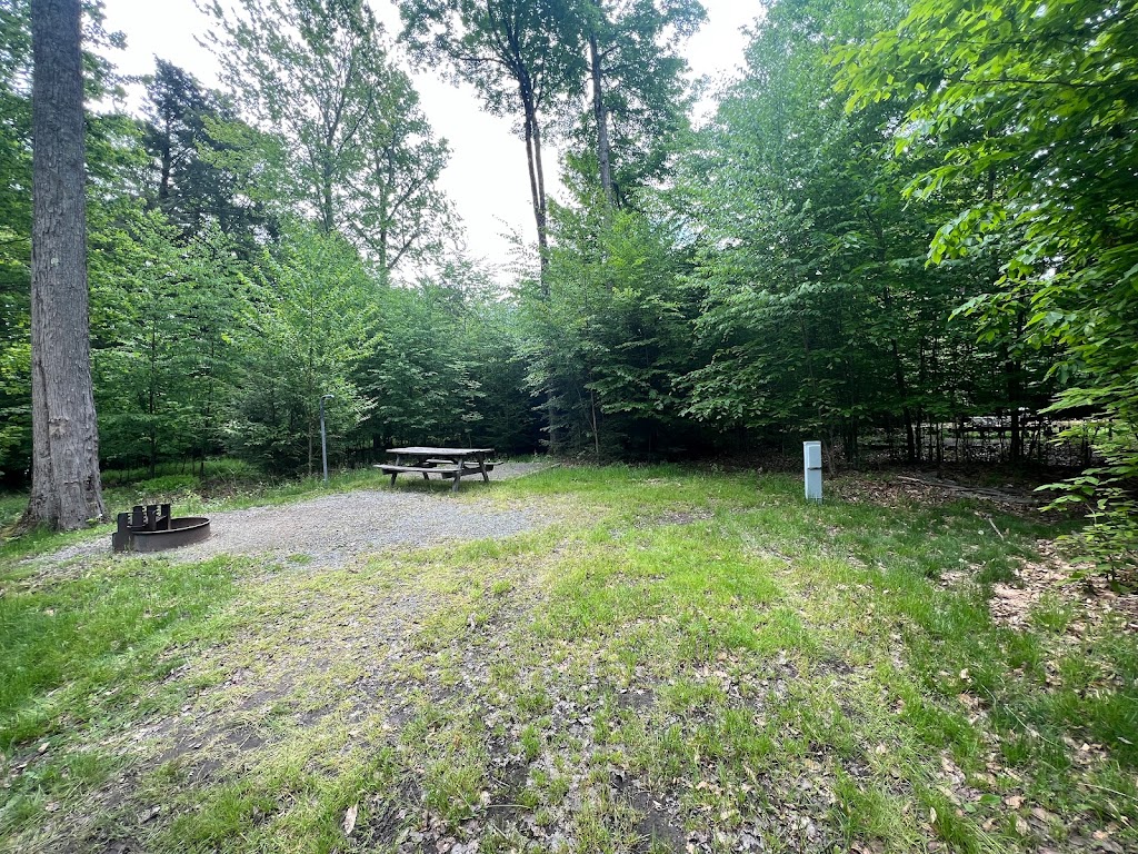 RHODODENDRON CAMP SITE | Lower Lake Rd, Greentown, PA 18426 | Phone: (570) 676-3428