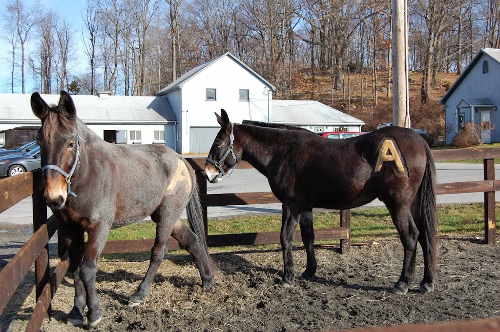 West Point FMWR Morgan Farm Riding Stables and Kennel | 2026 Morgan Farm Rd, Highland Falls, NY 10928 | Phone: (845) 938-3926