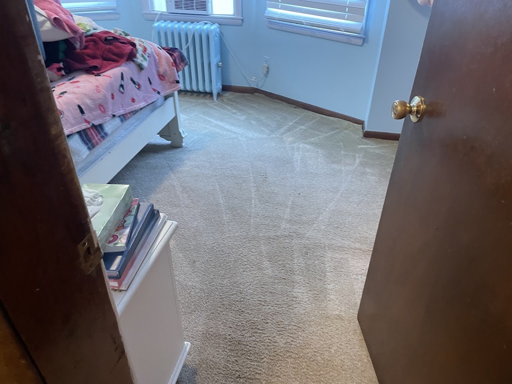 Innovative carpet cleaning | 29 Viburnum Ln, Mt Laurel Township, NJ 08054 | Phone: (609) 500-9523