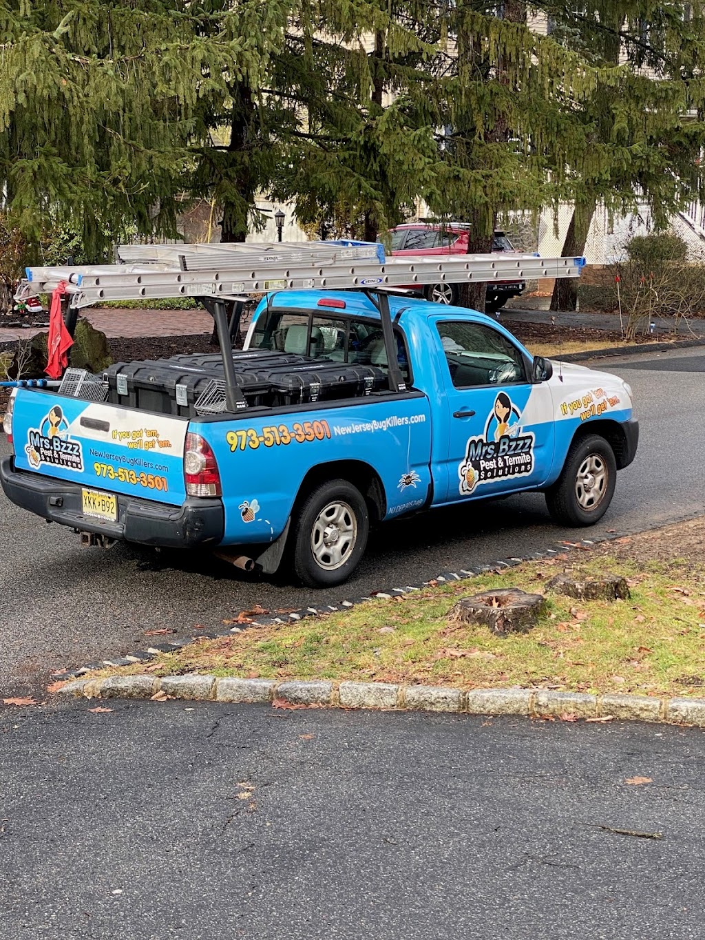 Mrs. Bzzz Pest & Termite Solutions | 8 Hammer Ln, Walden, NY 12586 | Phone: (845) 670-5888