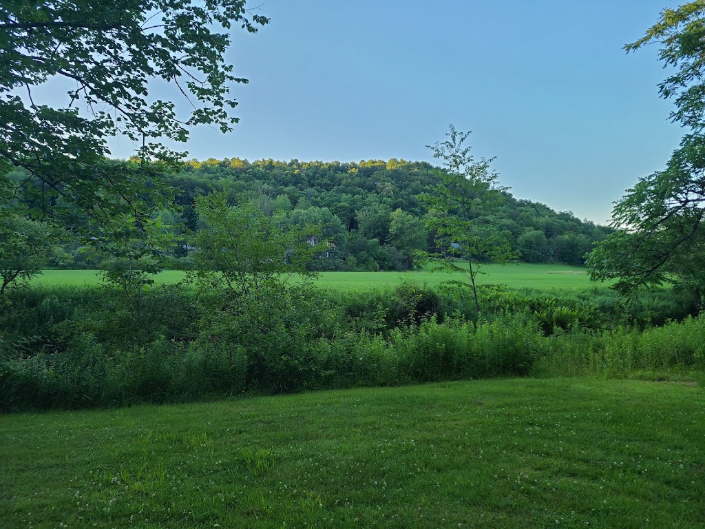 Shady Rest Campground | 2684 State Rte 2067, Union Dale, PA 18470 | Phone: (570) 222-2365