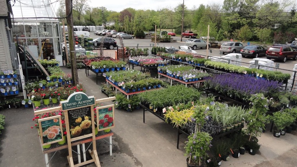 Halls Garden Center & Florist | 700 Springfield Ave, Berkeley Heights, NJ 07922 | Phone: (908) 665-0331