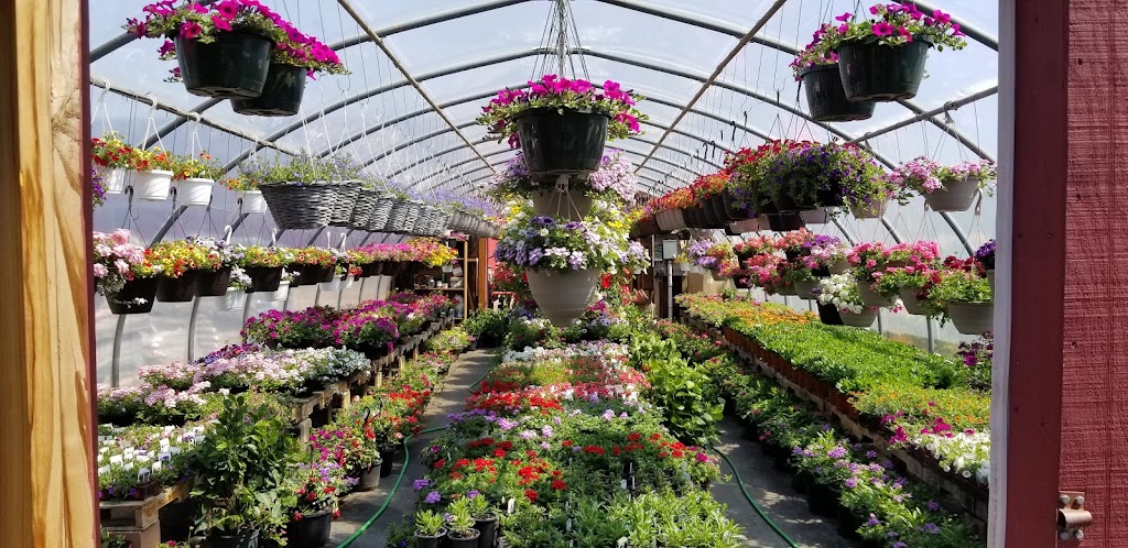 Hartland Flower & Garden Supply | 104 Millhurst Rd, Manalapan Township, NJ 07726 | Phone: (732) 620-5208