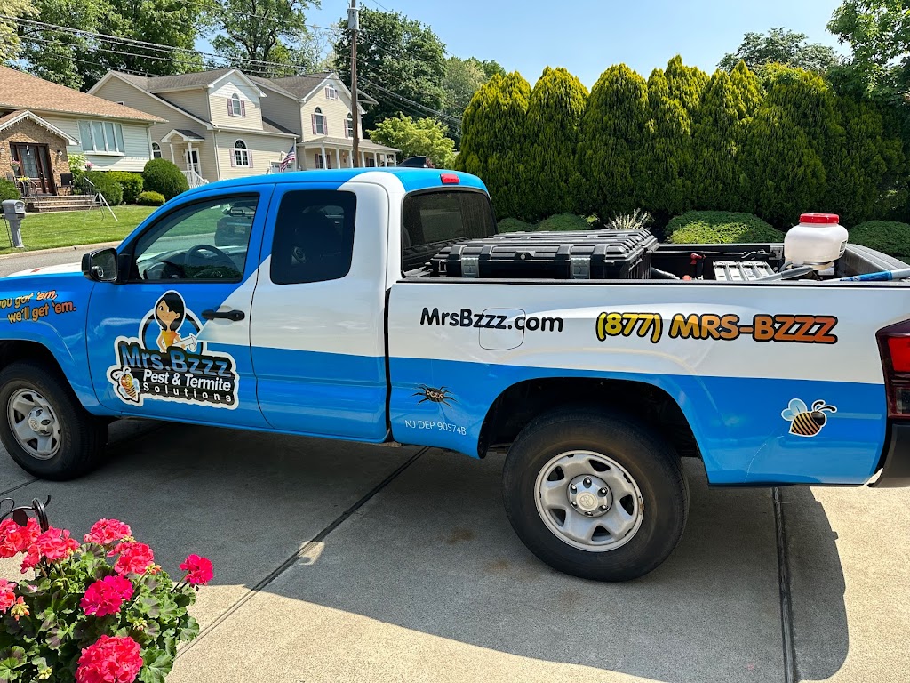 Mrs. Bzzz Pest & Termite Solutions | 6523 Rundle Ave, Mays Landing, NJ 08330 | Phone: (609) 642-9360