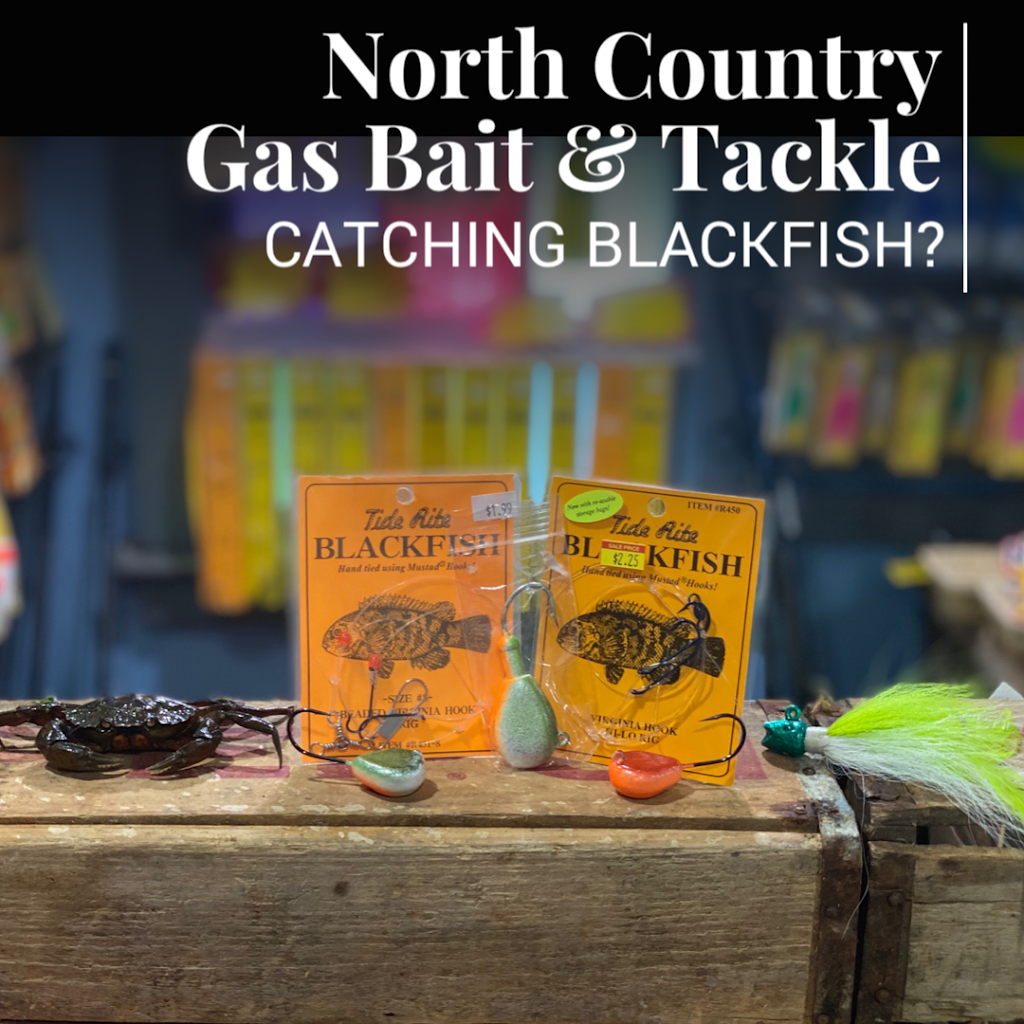 North Country Gas Bait and Tackle | 545 N Country Rd, St James, NY 11780 | Phone: (631) 484-0026