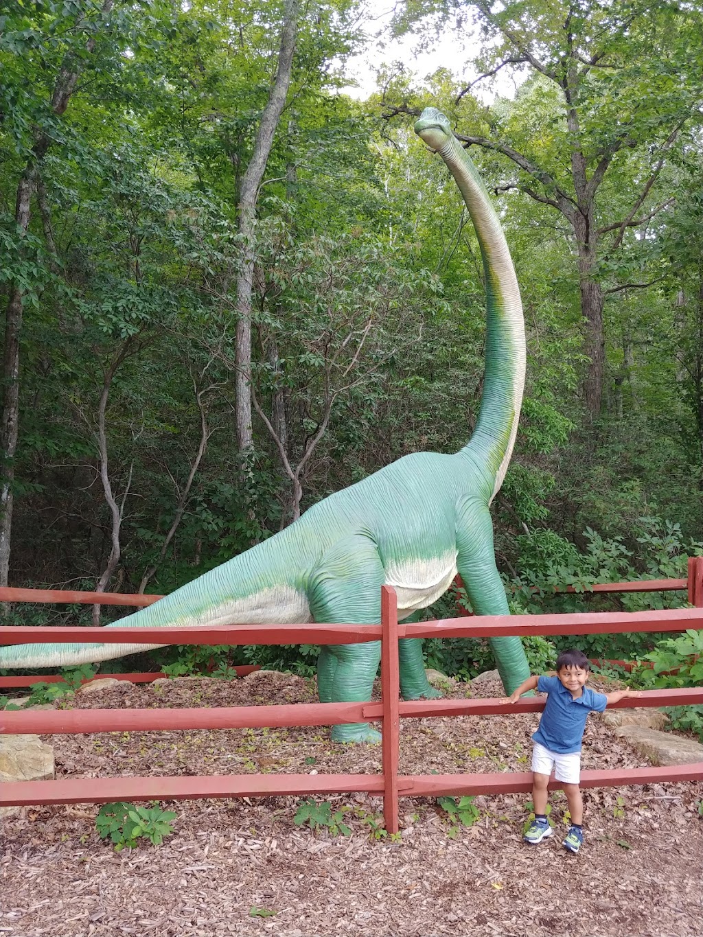 The Dinosaur Place | 1650 Hartford-New London Turnpike, Oakdale, CT 06370 | Phone: (860) 443-4367