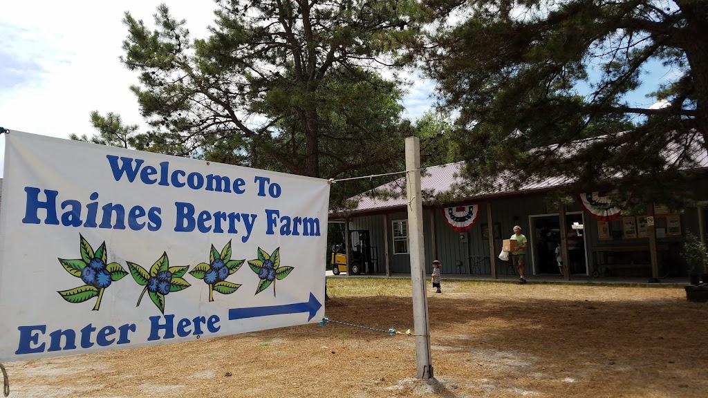 Haines Berry Farm | 98 Sheep Pen Hill Rd, Pemberton Township, NJ 08068 | Phone: (609) 894-8630