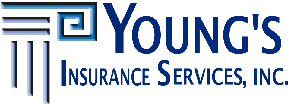 Youngs Insurance Services | 350 W Main St Suite 200, Collegeville, PA 19426 | Phone: (610) 275-7923