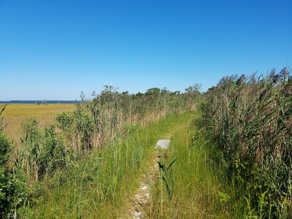 Forked River Interpretive Center | Island Beach State Park, Central Avenue, Lanoka Harbor, NJ 08734 | Phone: (732) 793-1315