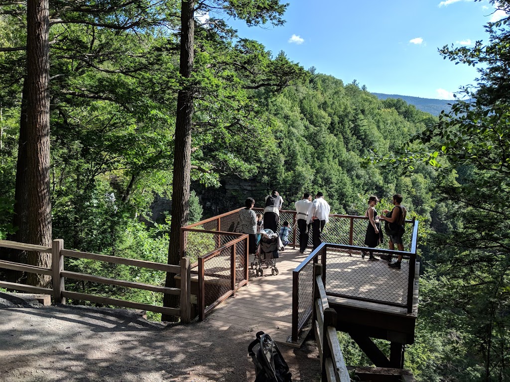Kaaterskill Falls, Viewing Platform | Laurel House Rd, Palenville, NY 12463 | Phone: (518) 935-3735