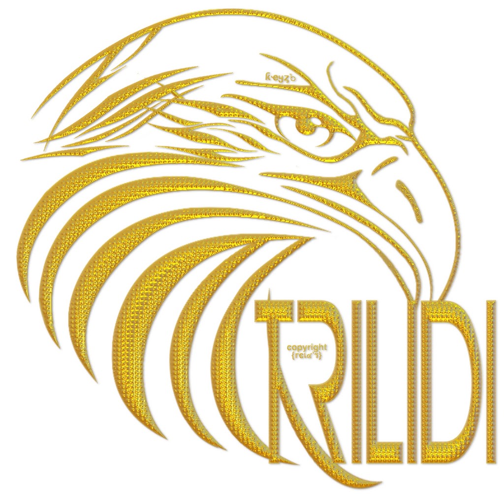 TRILIDI LLC | 20 Marshall St, Irvington, NJ 07111 | Phone: (347) 445-0048