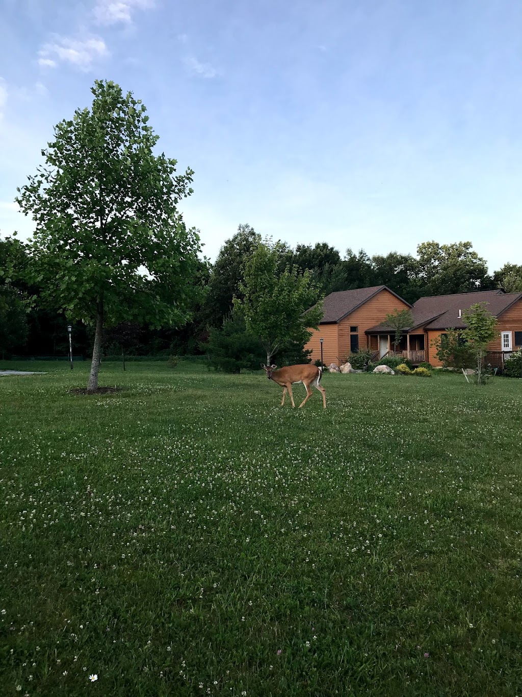 Blue Cliff Monastery | 3 Mindfulness Rd, Pine Bush, NY 12566 | Phone: (845) 213-1785