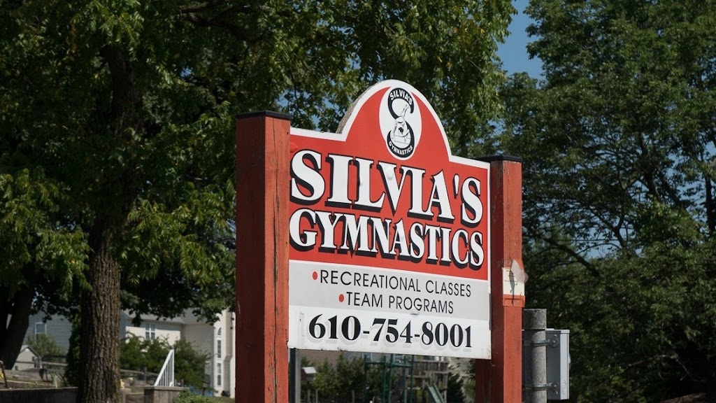 Silvias Gymnastics | 313 Big Rd, Zieglerville, PA 19492 | Phone: (610) 754-8001
