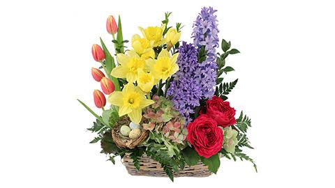 Angel Rose Florist Inc | 2810 Pickertown Rd, Warrington, PA 18976 | Phone: (215) 343-7556