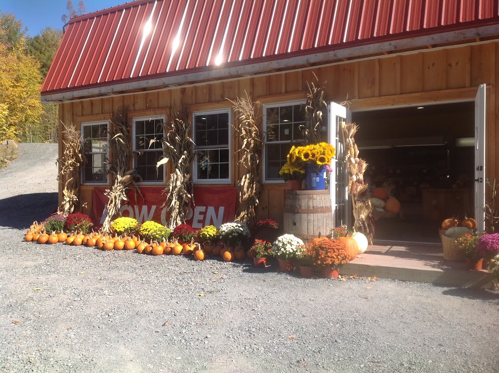 Tremper Hill Farms | 5224 NY-28, Mt Tremper, NY 12457 | Phone: (845) 688-3102