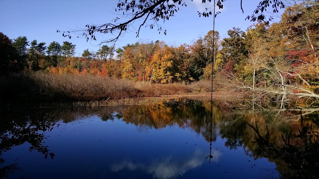 Fuchs Pond Preserve | Waterside Rd, Fort Salonga, NY 11768 | Phone: (631) 351-3000