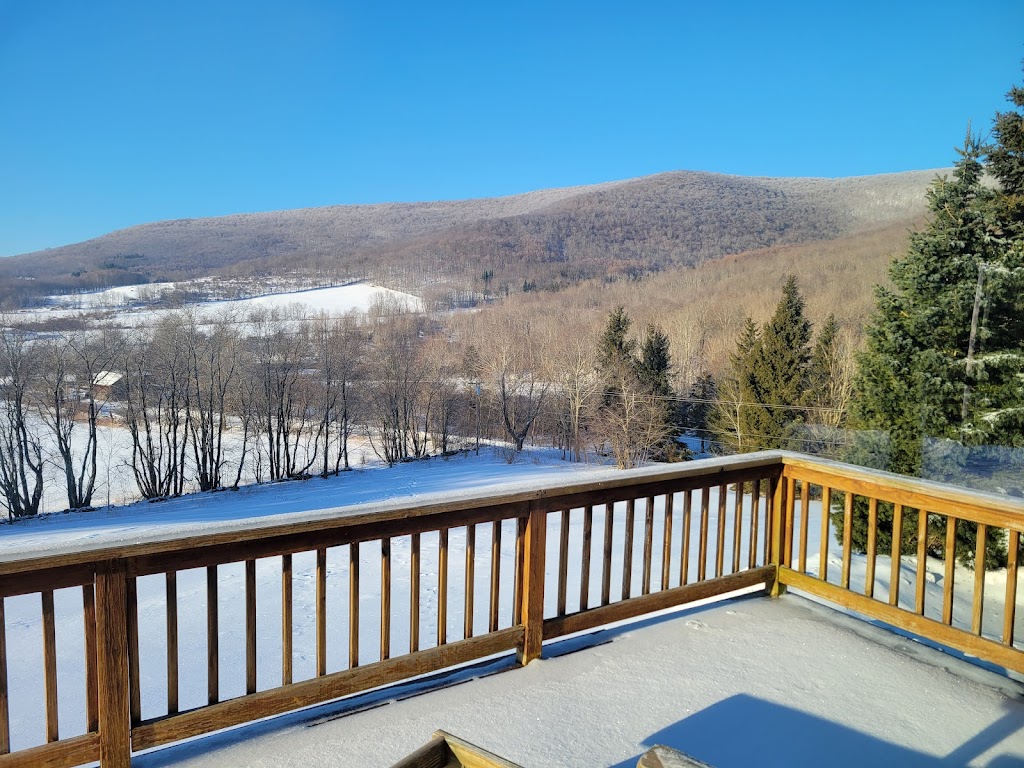 Bearpen Lodge | 254 Johnson Hollow Rd, Fleischmanns, NY 12430 | Phone: (607) 437-3715