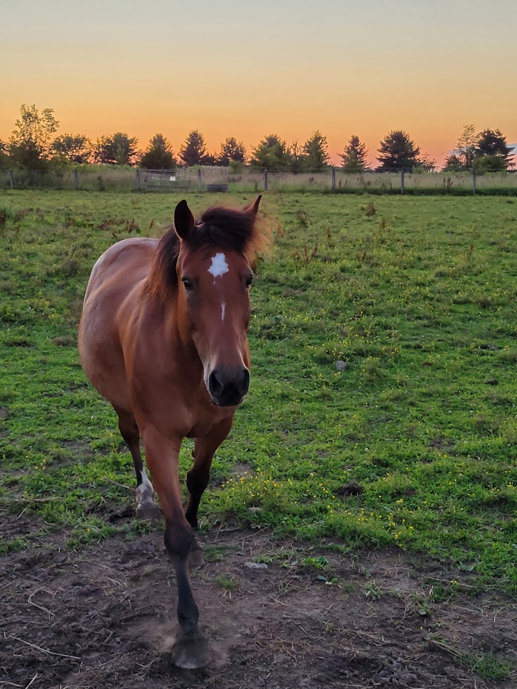 Rainbow Ridge Farm Equestrian | 4841 Applebutter Rd, Pipersville, PA 18947 | Phone: (215) 766-9356