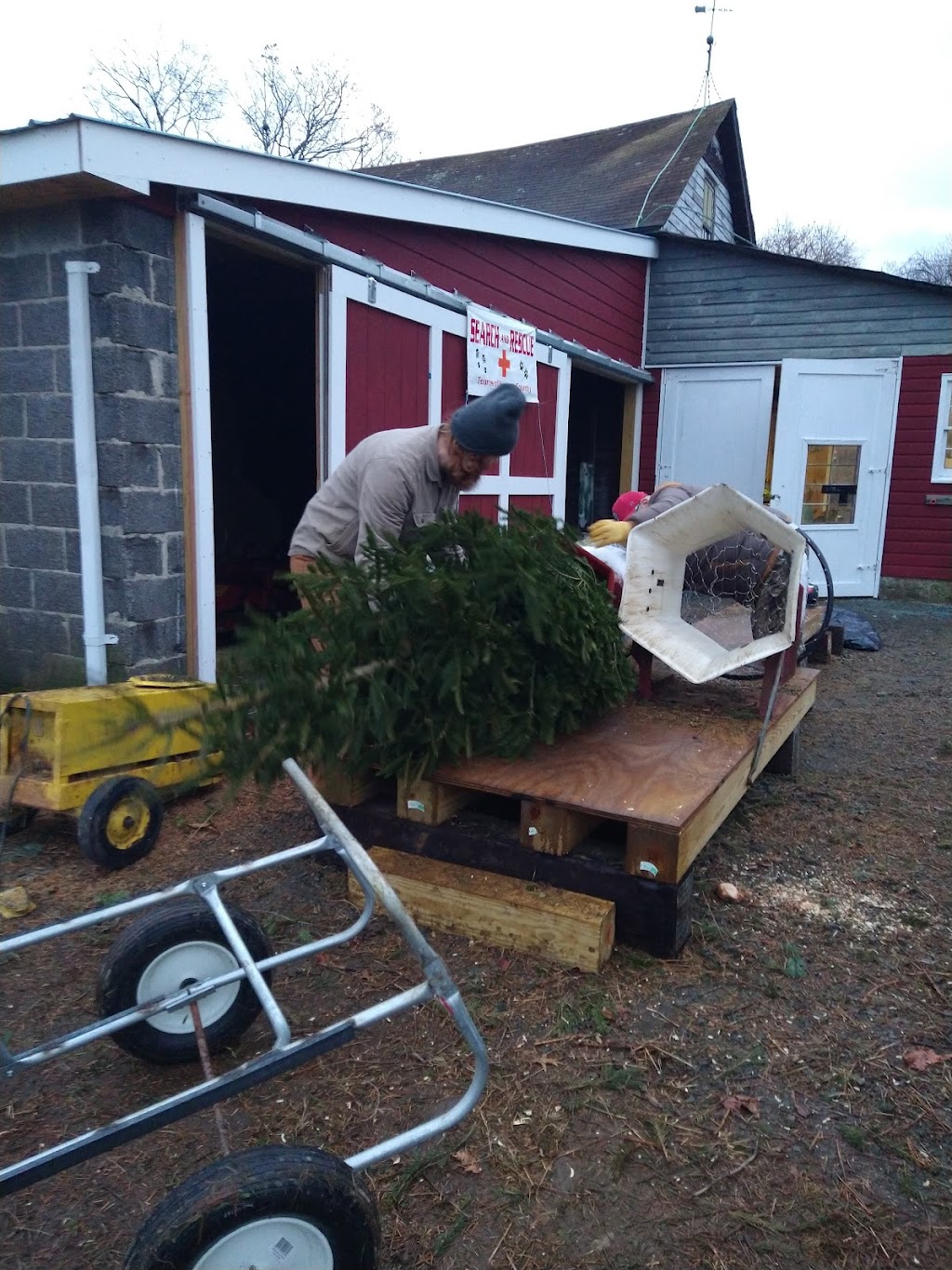 Sunset Christmas Tree Farm | 21 Frontage Rd, Blairstown, NJ 07825 | Phone: (870) 329-7766