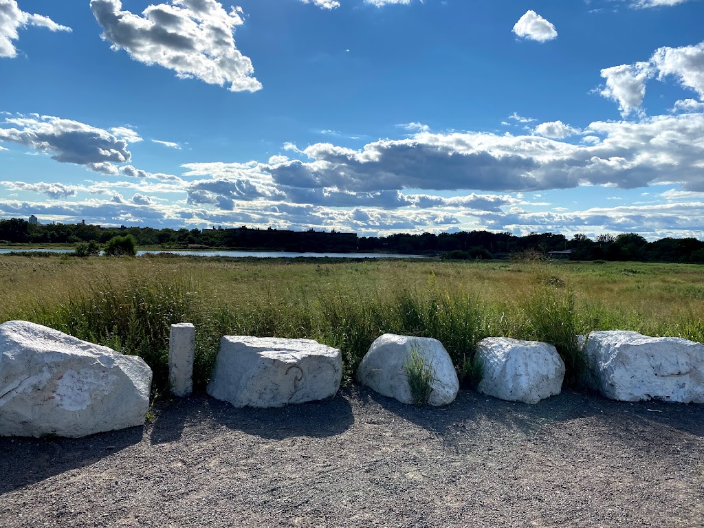 Marine Park Salt Marsh Nature Trail | Marine Park Salt Marsh Nature Center, 3301 Avenue U, Brooklyn, NY 11234 | Phone: (718) 421-2021