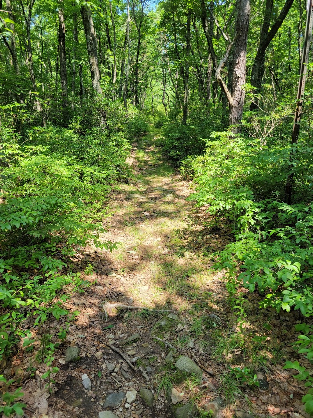 Jonas Mountain Nature Preserve | 739 Rainbow Terrace, Effort, PA 18330 | Phone: (570) 424-1514