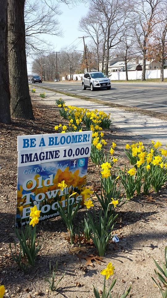 Old Town Blooms | 194-4 Morris Ave, Holtsville, NY 11742 | Phone: (631) 286-6053