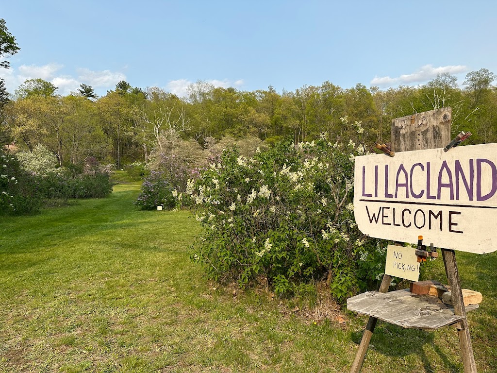The Lumley Studio at Lilacland | 24 Harkness Rd, Pelham, MA 01002 | Phone: (601) 508-7517