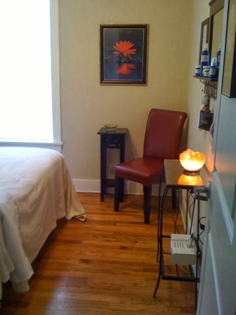 Red Lotus Skin Care Studio | 22 N Main St, Ellenville, NY 12428 | Phone: (845) 901-6634
