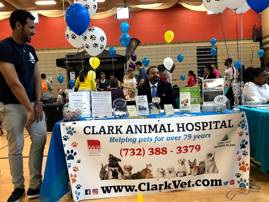 Clark Animal Hospital | 1075 Westfield Ave, Rahway, NJ 07065 | Phone: (732) 388-3379