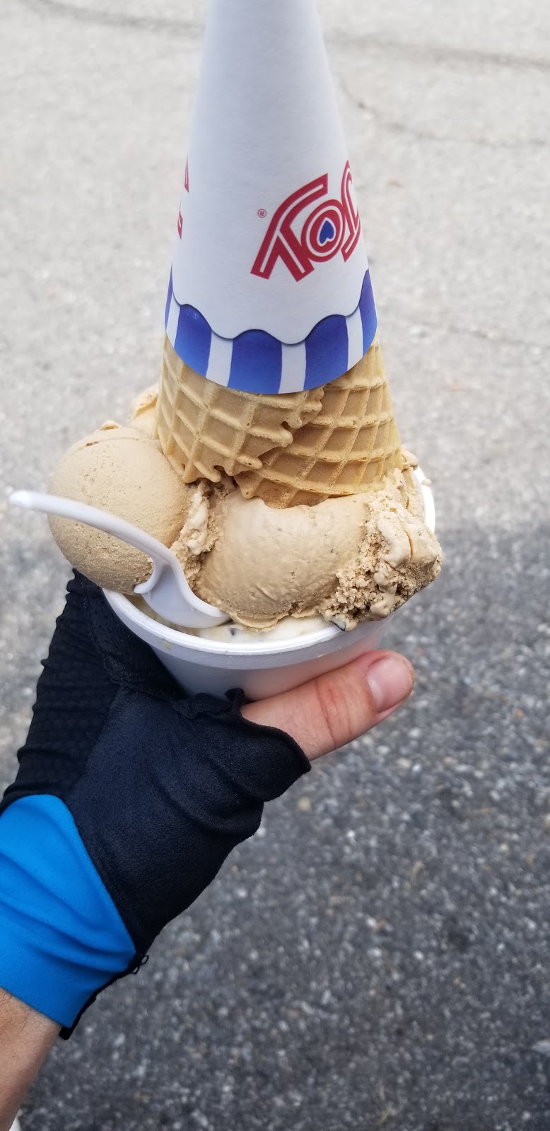 Van Dyks Homemade Ice Cream | 145 Ackerman Ave, Ridgewood, NJ 07450 | Phone: (201) 444-1429