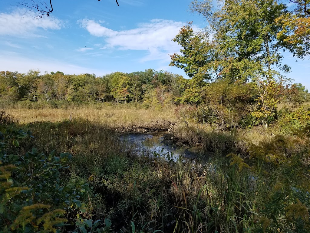 Boundary Creek Natural Resource Area | 515 Creek Rd, Moorestown, NJ 08057 | Phone: (609) 265-5858