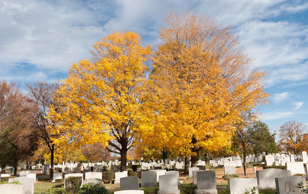 Riverside Cemetery | 12 Market St, Saddle Brook, NJ 07663 | Phone: (201) 843-7600