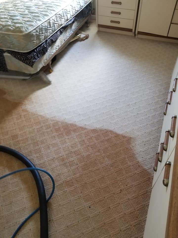 Eds Steam It Up - Carpet Cleaning | 335 41st St S, Brigantine, NJ 08203 | Phone: (609) 214-7559