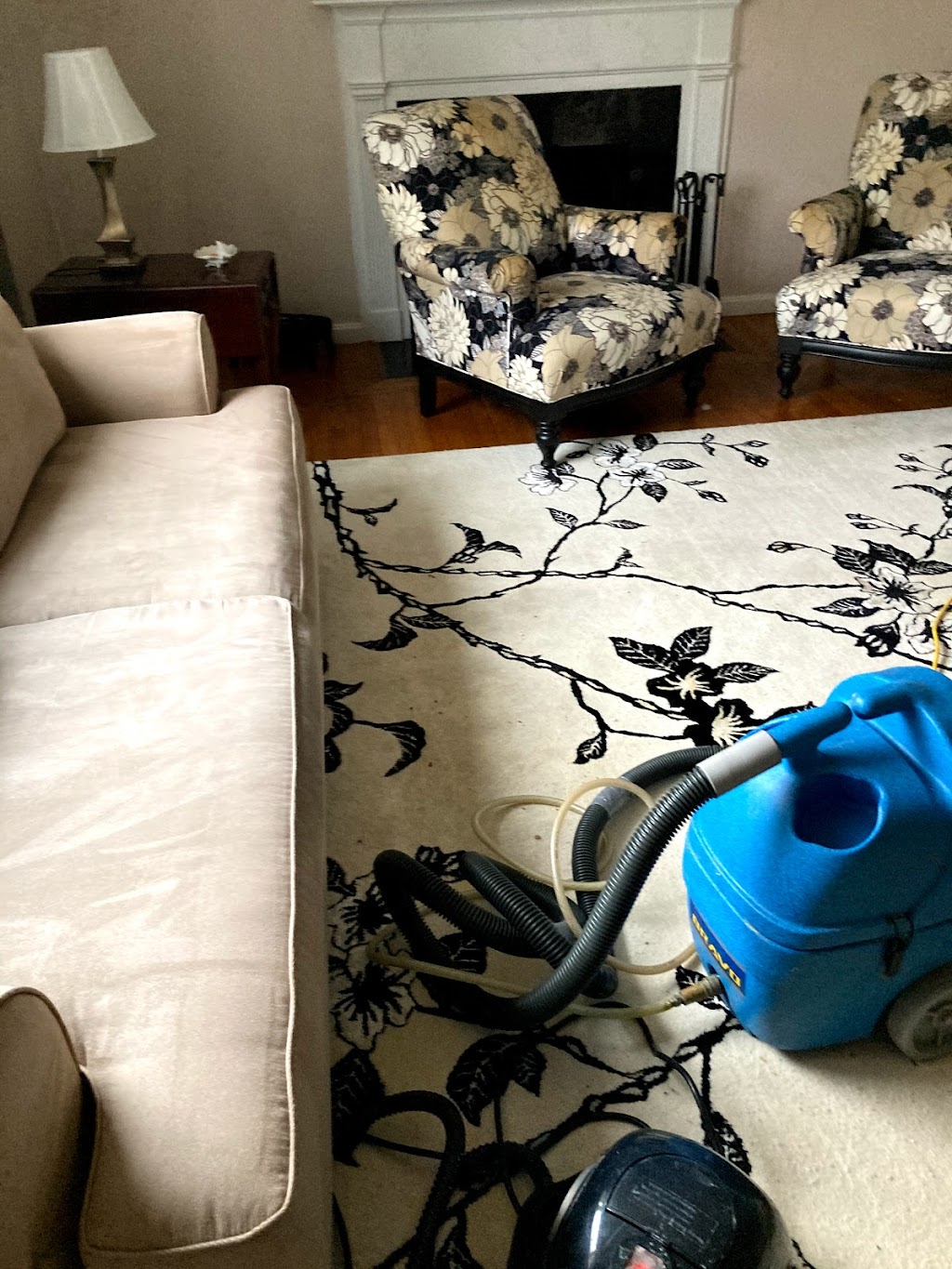 Wils Top Quality Carpet & Upholstery Cleaning Service. | 274 Carew St, Chicopee, MA 01020 | Phone: (413) 331-3454