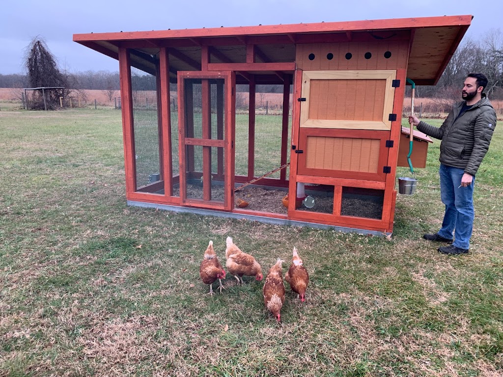 FAR Wind Farm, LLC | Livestock (hens /eggs) sold by appointment only, 1844 Winslow Rd, Williamstown, NJ 08094 | Phone: (609) 774-0629