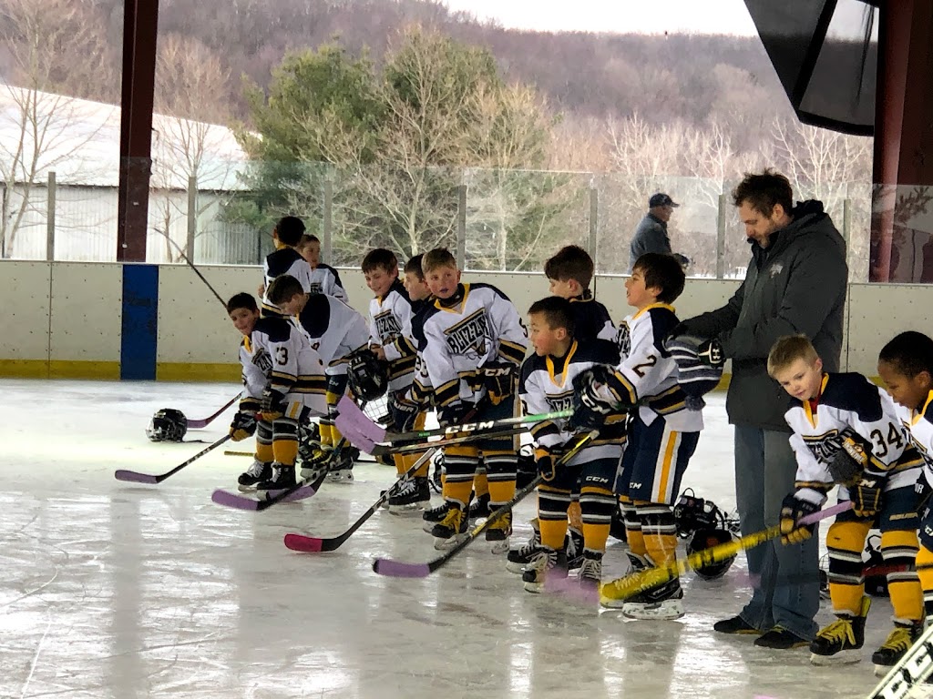 Brewster Ice Arena | 63 Fields Ln, Brewster, NY 10509 | Phone: (845) 279-2229