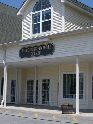 Dutchess Animal Clinic | 942 NY-376, Wappingers Falls, NY 12590 | Phone: (845) 223-6363