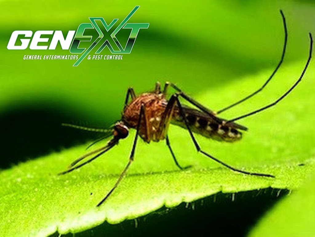 GenExt: General Extermination & Pest Control LLC | 9105 Morgan Wy, Mt Laurel Township, NJ 08054 | Phone: (856) 372-4901