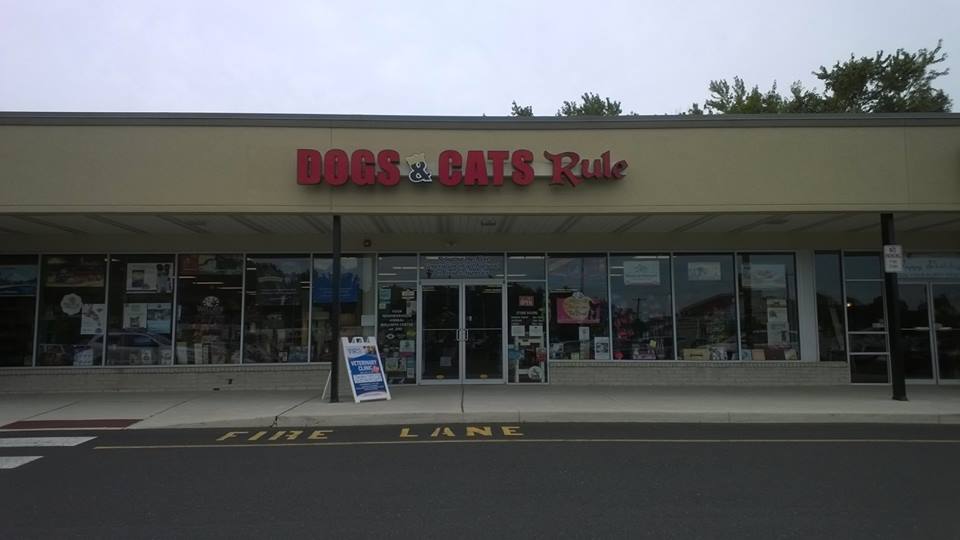 Dogs & Cats Rule | 1969 Norristown Rd, Maple Glen, PA 19002 | Phone: (215) 619-7775