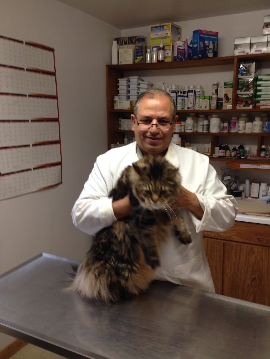 Hammonasset Animal Clinic | 117 Cottage Rd, Madison, CT 06443 | Phone: (203) 245-3434