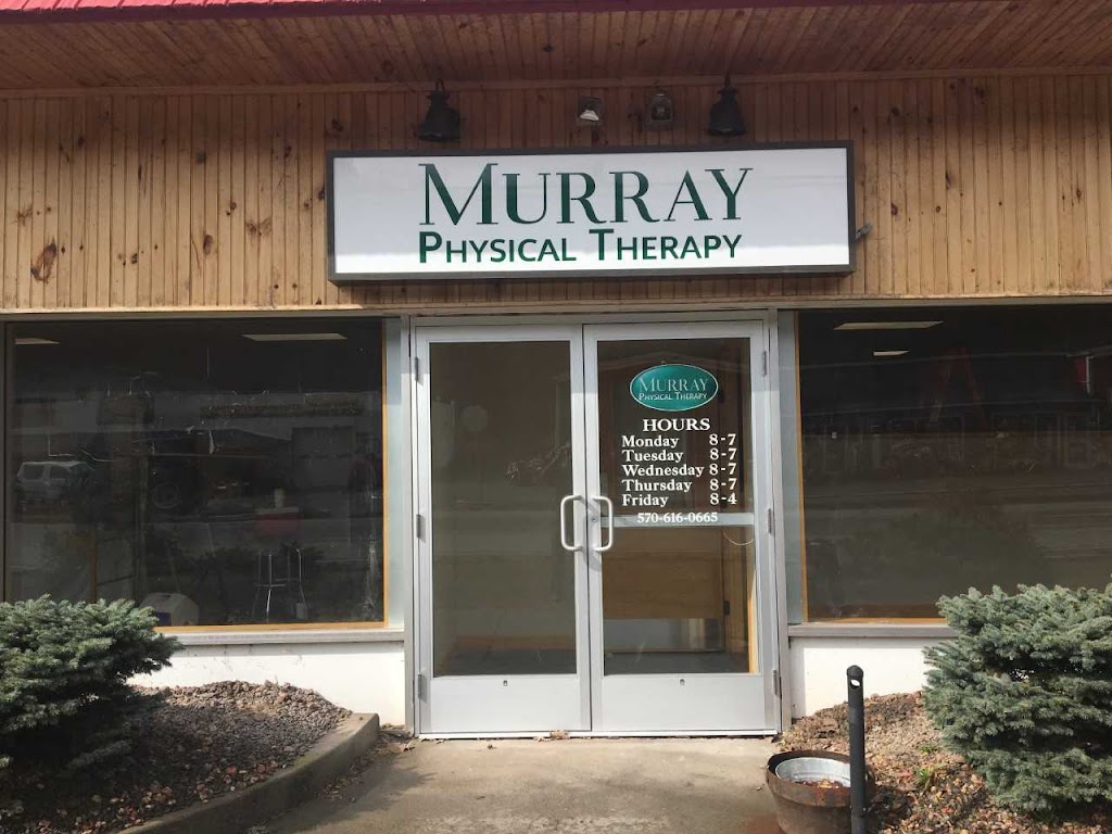 Murray Physical Therapy, Inc. | 1095 Texas Palmyra Hwy suite 1 suite 1, Honesdale, PA 18431 | Phone: (570) 616-0665